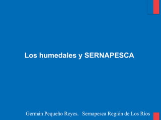 Los humedales y SERNAPESCA 
Germán Pequeño Reyes. Sernapesca Región de Los Ríos  