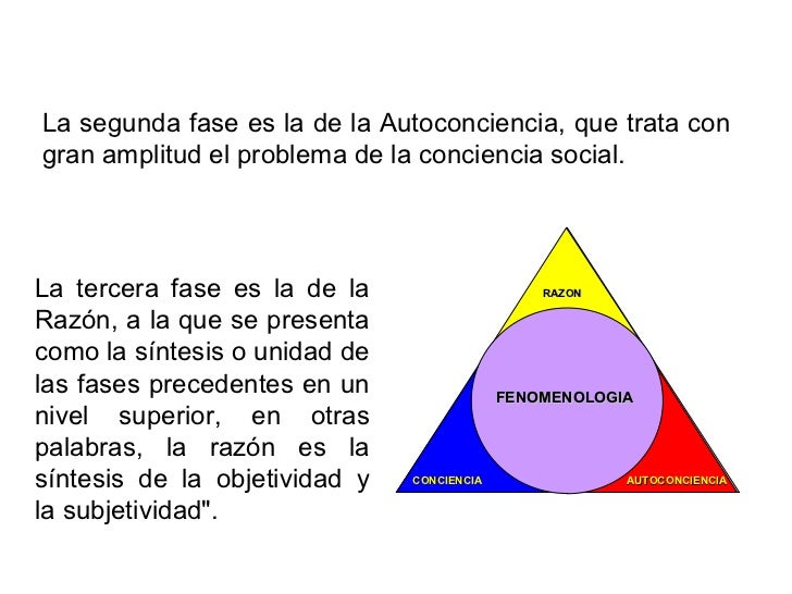 Presentacion husserl metodos