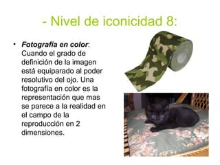 - Nivel de iconicidad 8:
• Fotografía en color:
  Cuando el grado de
  definición de la imagen
  está equiparado al poder
  resolutivo del ojo. Una
  fotografía en color es la
  representación que mas
  se parece a la realidad en
  el campo de la
  reproducción en 2
  dimensiones.
 