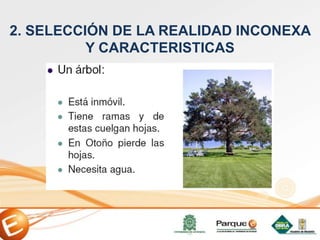 2. SELECCIÓN DE LA REALIDAD INCONEXA
Y CARACTERISTICAS
 