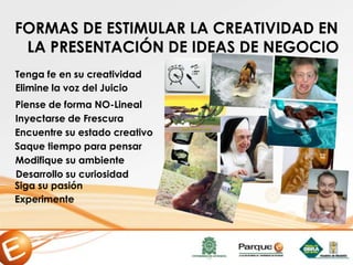 Tenga fe en su creatividad
Elimine la voz del Juicio
Piense de forma NO-Lineal
Inyectarse de Frescura
Modifique su ambiente
Encuentre su estado creativo
Saque tiempo para pensar
Siga su pasión
Desarrollo su curiosidad
Experimente
FORMAS DE ESTIMULAR LA CREATIVIDAD EN
LA PRESENTACIÓN DE IDEAS DE NEGOCIO
 