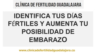 www.clinicadefertilidadguadalajara.co
IDENTIFICA TUS DÍAS
FÉRTILES Y AUMENTA TU
POSIBILIDAD DE
EMBARAZO
 