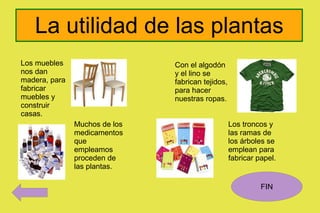 Las plantas son el alimento de los animales herbívoros Luego, los herbívoros sirven de alimento a los carnívoros. 