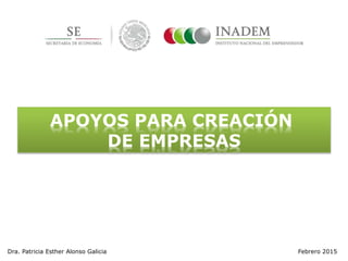 APOYOS PARA CREACIÓN
DE EMPRESAS
Dra. Patricia Esther Alonso Galicia Febrero 2015
 