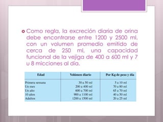  Como regla, la excreción diaria de orina
debe encontrarse entre 1200 y 2500 ml,
con un volumen promedio emitido de
cerca de 250 ml, una capacidad
funcional de la vejiga de 400 a 600 ml y 7
u 8 micciones al día.
 