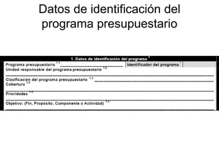 Datos de identificación del
programa presupuestario
 