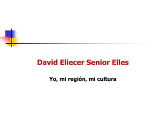 David Eliecer Senior Elles
Yo, mi región, mi cultura

 