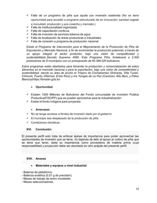 presentacion industrailizacin de la piña-2.pdf