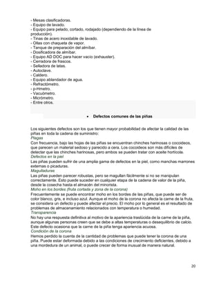 presentacion industrailizacin de la piña-2.pdf