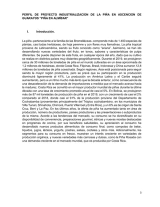 presentacion industrailizacin de la piña-2.pdf