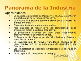 Panorama de la Industria <ul><li>Oportunidades </li></ul><ul><ul><li>La posición estratégica de México y el TLCAN, le conf...
