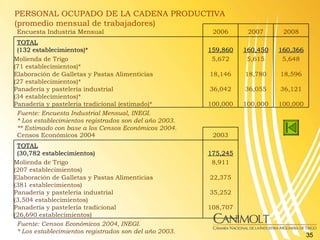 PERSONAL OCUPADO DE LA CADENA PRODUCTIVA (promedio mensual de trabajadores) Encuesta Industria Mensual 2006 2007 2008 TOTA...