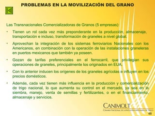 PROBLEMAS EN LA MOVILIZACIÓN DEL GRANO <ul><li>Las Transnacionales Comercializadoras de Granos (5 empresas):  </li></ul><u...