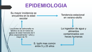 Su mayor incidencia se 
encuentra en la edad 
escolar 
La ingestión de agua y 
alimentos 
contaminados con 
heces humanas 
Los brotes de salmonella no 
tifoidico se da en todos los 
grupos de edad menores de 5 
años (especialmente 1 año) y 
S. typhi mas común 
entre 5 y 25 años 
mayor de 70 
Tendencia estacional 
en verano-otoño 
 