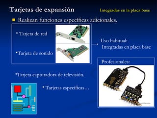 Tarjetas de expansión Realizan funciones específicas adicionales. Integradas en la placa base Tarjeta capturadora de televisión. Tarjetas específicas… Uso habitual: Integradas en placa base Tarjeta de red Tarjeta de sonido Profesionales: 