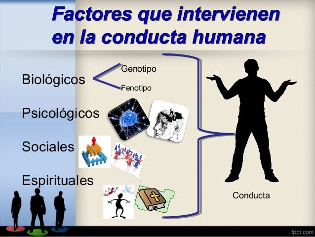 Conducta Humana