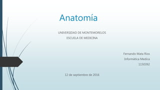Anatomía
UNIVERSIDAD DE MONTEMORELOS
ESCUELA DE MEDICINA
Fernando Mata Ríos
Informática Medica
1150392
12 de septiembre de 2016
 