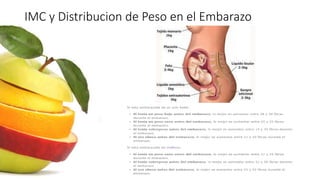 IMC y Distribucion de Peso en el Embarazo
 