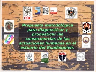 Propuesta metodológica
    para diagnosticar y
      pronosticar las
   consecuencias de las
actuaciones humanas en el
 estuario del Guadalquivir.
 