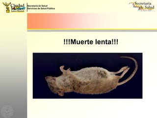 Morir por un ataque al corazón