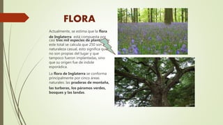 FLORA
Actualmente, se estima que la flora
de Inglaterra está compuesta por
casi tres mil especies de plantas; de
este total se calcula que 250 son de
naturaleza casual, esto significa que
no son propias del lugar y que
tampoco fueron implantadas, sino
que su origen fue de índole
esporádica.
La flora de Inglaterra se conforma
principalmente por cinco áreas
naturales: las praderas de montaña,
las turberas, los páramos verdes,
bosques y las landas.
 