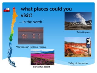 what places could you
visit?
…In the North
Valley of the moon
Flowerful desert
Tatio Geysers
“Flamencos” National reserve
 
