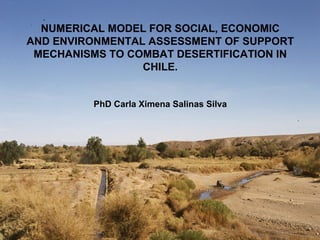 NUMERICAL MODEL FOR SOCIAL, ECONOMIC
AND ENVIRONMENTAL ASSESSMENT OF SUPPORT
 MECHANISMS TO COMBAT DESERTIFICATION IN
                 CHILE.


          PhD Carla Ximena Salinas Silva
 