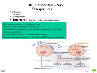 DEFENSAS INTERNAS
                                 Inespecíficas
            Inflamación
            Leucocitos
       ...