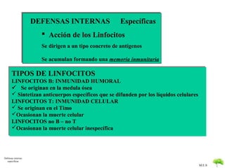 DEFENSAS INTERNAS                  Específicas
                       Acción de los Linfocitos
                      Se d...