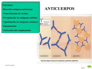 Funciones:
•Reacción antigeno-anticuerpo          ANTICUERPOS
•Neutralización de toxinas
•Precipitación de antígenos solub...
