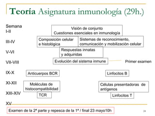 Teoría Asignatura inmunología (29h.)
Semana
I-II
III-IV
V-VI
VII-VIII
IX-X
XI-XII
XIII-XIV
XV
24
Examen de la 2ª parte y r...