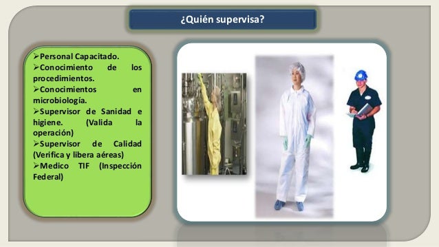 Inocuidad En La Industria Carnica