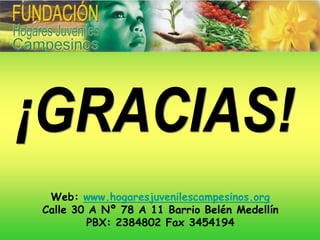 Web: www.hogaresjuvenilescampesinos.org
Calle 30 A Nº 78 A 11 Barrio Belén Medellín
        PBX: 2384802 Fax 3454194
 
