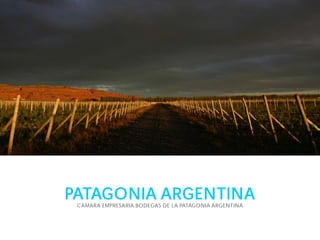 PATAGONIA ARGENTINAPATAGONIA ARGENTINA
CAMARA EMPRESARIA BODEGAS DE LA PATAGONIA ARGENTINA
 
