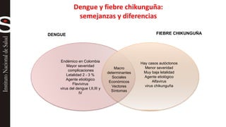 Dengue y fiebre chikunguña: 
semejanzas y diferencias 
DENGUE FIEBRE CHIKUNGUÑA 
Macro 
determinantes 
Sociales 
Económicos 
Vectores 
Síntomas 
Endémico en Colombia 
Mayor severidad 
complicaciones 
Letalidad 2 - 3 % 
Agente etiológico 
Flavivirus 
virus del dengue I,II,III y 
IV 
Hay casos autóctonos 
Menor severidad 
Muy baja letalidad 
Agente etiológico 
Alfavirus 
virus chikunguña 
 