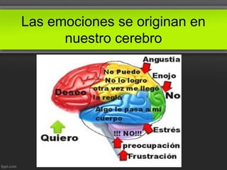 Las emociones se originan en
nuestro cerebro
 