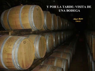 Y POR LA TARDE: VISITA DE UNA BODEGA