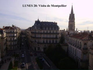 LUNES 28: Visita de Montpellier