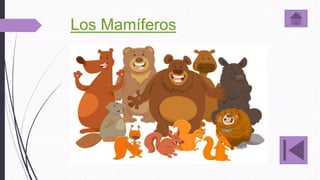 Los Mamíferos
 