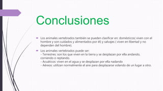 Conclusiones
 Los animales vertebrados también se pueden clasificar en: domésticos( viven con el
hombre y son cuidados y alimentados por él) y salvajes ( viven en libertad y no
dependen del hombre).
 Los animales vertebrados puede ser:
- Terrestres: son los que viven en la tierra y se desplazan por ella andando,
corriendo o reptando.
- Acuáticos: viven en el agua y se desplazan por ella nadando
- Aéreos: utilizan normalmente el aire para desplazarse volando de un lugar a otro.
 