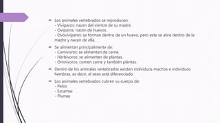  Los animales vertebrados se reproducen:
- Vivíparos: nacen del vientre de su madre.
- Ovíparos: nacen de huevos.
- Ovovivíparos: se forman dentro de un huevo, pero este se abre dentro de la
madre y nacen de ella.
 Se alimentan principalmente de:
- Carnívoros: se alimentan de carne.
- Herbívoros: se alimentan de plantas.
- Omnívoros: comen carne y también plantas.
 Dentro de los animales vertebrados existen individuos machos e individuos
hembras, es decir, el sexo está diferenciado
 Los animales vertebrados cubren su cuerpo de:
- Pelos
- Escamas
- Plumas
 