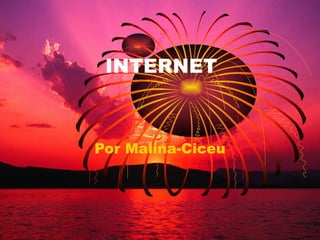 INTERNET Por Malina-Ciceu 