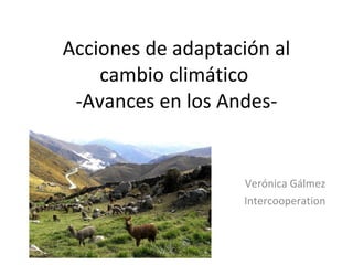Acciones de adaptación al cambio climático  -Avances en los Andes- Verónica Gálmez Intercooperation 