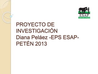 PROYECTO DE
INVESTIGACIÓN
Diana Peláez -EPS ESAP-
PETÉN 2013
 