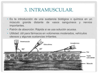 3. INTRAMUSCULAR.
• Es la introducción de una sustancia biológica o química en un
músculo grande distante de vasos sanguíneos y nervios
importantes.
• Patrón de absorción: Rápida si se usa solución acuosa.
• Utilidad: útil para fármacos en volúmenes moderados, vehículos
oleosos y algunas sustancias irritantes.
 