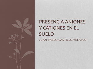 JUAN PABLO CASTILLO VELASCO
PRESENCIA ANIONES
Y CATIONES EN EL
SUELO
 