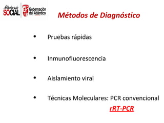 Métodos de Diagnóstico

•

Pruebas rápidas

•

Inmunofluorescencia

•

Aislamiento viral

•

Técnicas Moleculares: PCR convencional

rRT-PCR

 