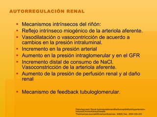 AUTORREGULACIÓN RENAL Mecanismos intrínsecos del riñón:  Reflejo intrínseco miogénico de la arteriola aferente.  Vasodilatación o vasocontricción de acuerdo a cambios en la presión intraluminal. Incremento en la presión arterial Aumento en la presión intraglomerular y en el GFR  Incremento distal de consumo de NaCl. Vasoconstricción de la arteriola aferente. Aumento de la presión de perfusión renal y al daño renal Mecanismo de feedback tubuloglomerular. Disturbancesin Renal AutoregulationandtheSusceptibilitytoHypertension-InducedChronicKidneyDisease. TheAmericanJournalofAmericanSciences. 328(6) Dec. 2004:330-343 