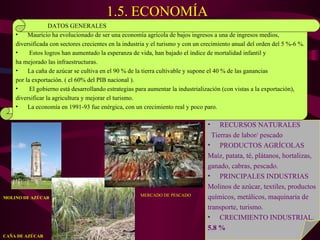 1.5 Economía MOLINO DE AZÚCAR CAÑA DE AZÚCAR RECURSOS NATURALES Tierras de labor/ pescado PRODUCTOS AGRÍCOLAS Maíz, patata, té, plátanos, hortalizas,  ganado, cabras, pescado. PRINCIPALES INDUSTRIAS Molinos de azúcar, textiles, productos  químicos, metálicos, maquinaria de  transporte, turismo. CRECIMIENTO INDUSTRIAL.  5.8 % DATOS GENERALES Mauricio ha evolucionado de ser una economía agrícola de bajos ingresos a una de ingresos medios, diversificada con sectores crecientes en la industria y el turismo y con un crecimiento anual del orden del 5 %-6 %. Estos logros han aumentado la esperanza de vida, han bajado el índice de mortalidad infantil y  ha mejorado las infraestructuras.  La caña de azúcar se cultiva en el 90 % de la tierra cultivable y supone el 40 % de las ganancias  por la exportación. ( el 60% del PIB nacional ). El gobierno está desarrollando estrategias para aumentar la industrialización (con vistas a la exportación), diversificar la agricultura y mejorar el turismo.  La economía en 1991-93 fue enérgica, con un crecimiento real y poco paro. MERCADO DE PESCADO 1.5.   ECONOMÍA 