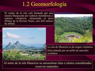 1.2 Geomorfología   El centro de la isla está formada por una meseta flanqueada por cadenas montañosas y   cráteres volcánicos, destacando el pico (Pitón) de la Riviere Noire, con 628 metros de altitud.  Al  norte de la isla Mauricio se encuentran islas e islotes consideradas reservas naturales.  La isla de Mauricio es de origen volcánico.  Está rodeada por un anillo de arrecifes coralinos.  